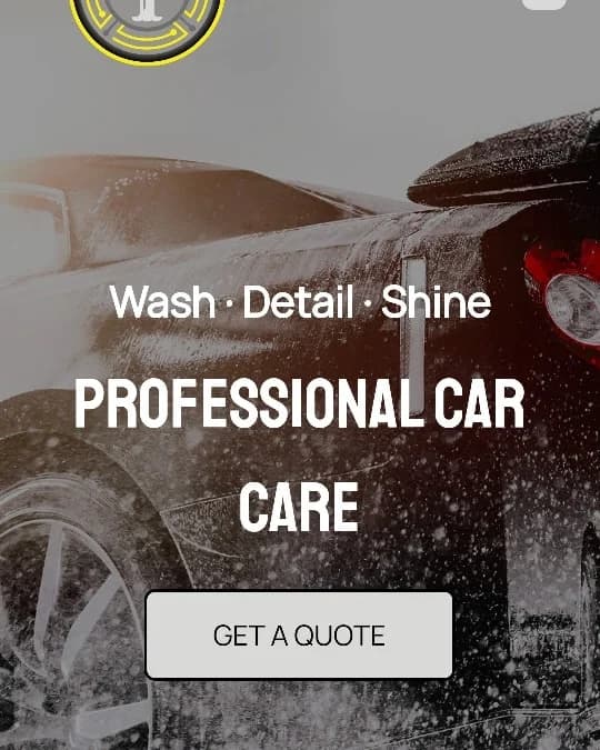 Why Choose Big Dawgs Detailing for Interior Work